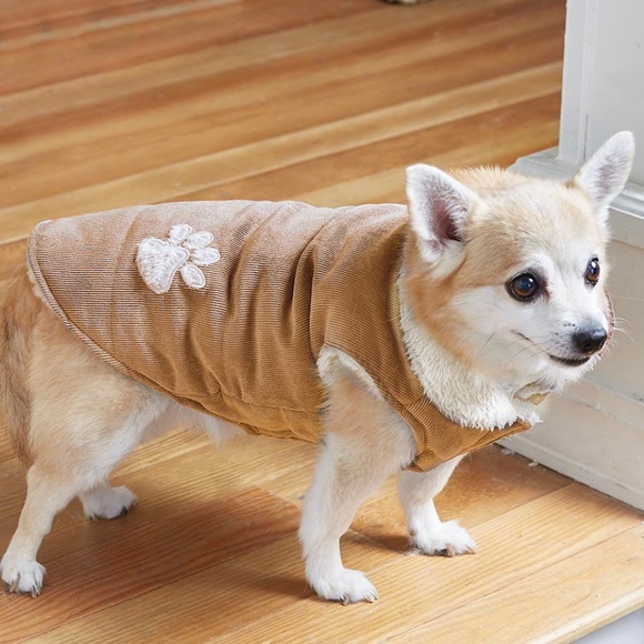 Other - NWT Corduroy Dog Small Brown Jackets / Pet Vest